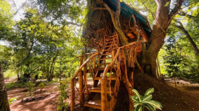 Ali Adi Eco Lodge